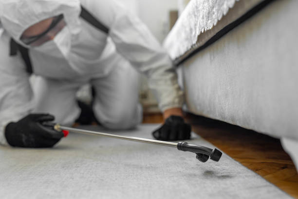 Professional Termite Control technician working in Altamont, KS