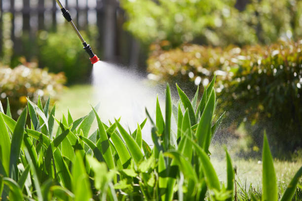 24/7 Emergency Termite Control experts in Altamont, KS